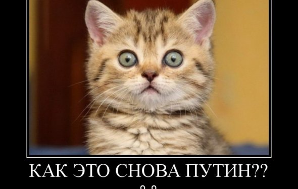 Видел, как самые интересные